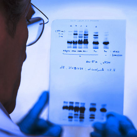 Genetic Audit - map your hereditary genetic diseases